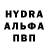 COCAIN Fish Scale Hazratkulov J