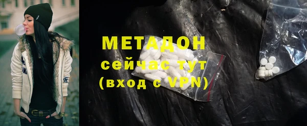 шишки Надым