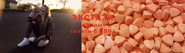 шишки Надым