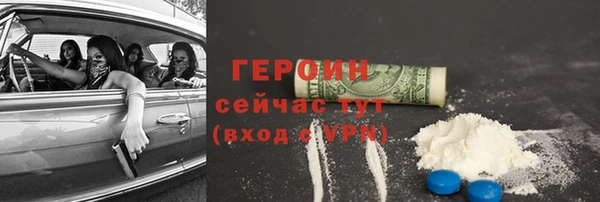 шишки Надым