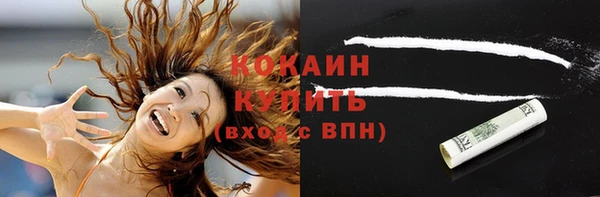 шишки Надым