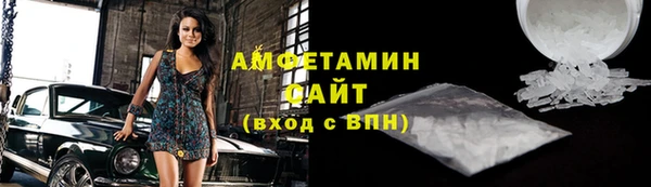 шишки Надым