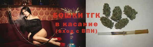 шишки Надым