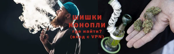 шишки Надым