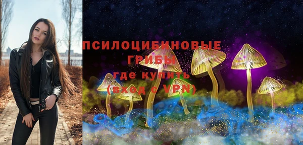 шишки Надым