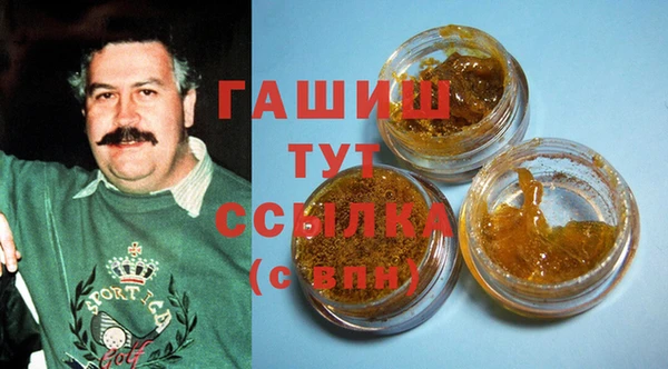 шишки Надым