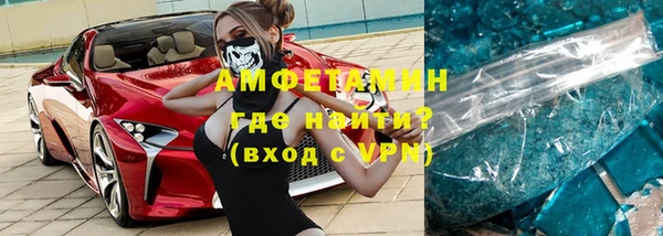 шишки Надым