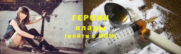 шишки Надым